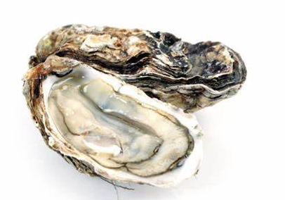 OSTRICHE SPECIALI N.3X4KG 特级生蚝